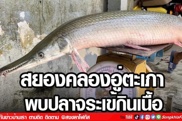 HYUE5hbFKcGtYANpSadyA051zdJnYv32IjuduKoP5JTDeZvq3nRvZ2VK