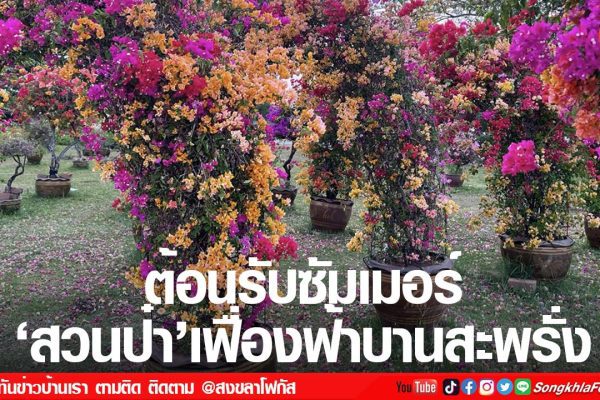 ix4KutAOJ31G0yNvbYYkjhdSzlbHdtCiXLZkfsDu9 e79Pz7Adq5bGch