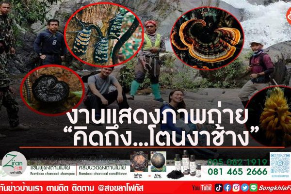 tme1KkHT nUtZBC41wH54AzbtgVC4TVvFvzgl LgUaP5e0nTiuOPLU9q