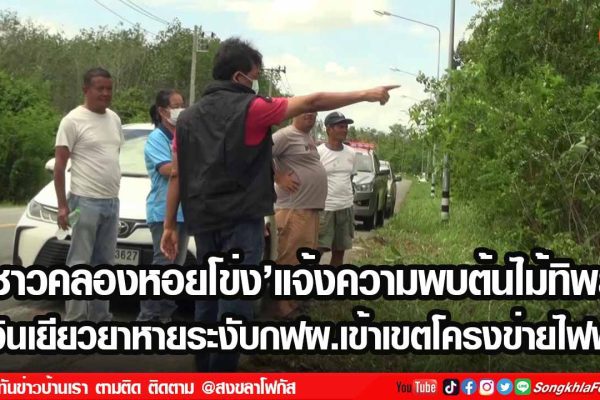 เฟรมข่าวไอเน็ท เว็บ 10