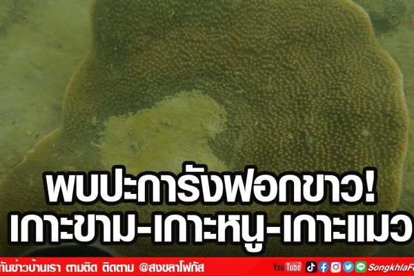 เฟรมข่าวไอเน็ท เว็บ 12