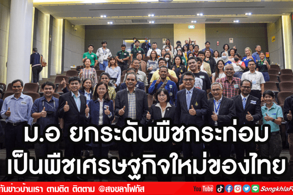 ม.อ ยกระดับพืชกระท่อม2