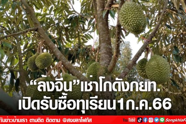 ล้งจีนเช่าโกดังกยท2