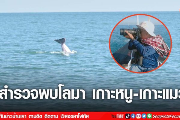 เฟรมข่าวไอเน็ท เว็บ เปลี่ยน 30