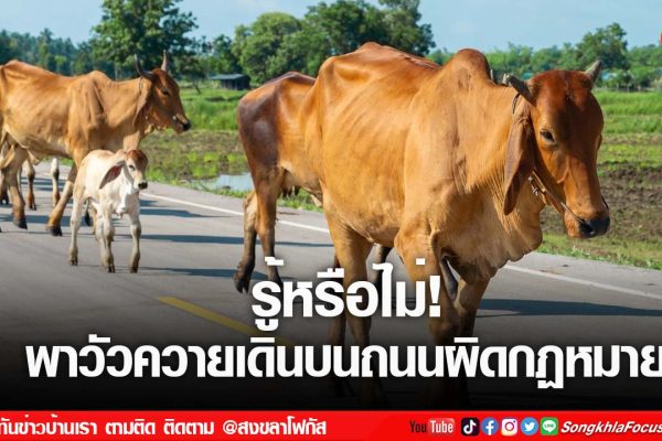 เฟรมข่าวไอเน็ท เว็บ เปลี่ยน 99