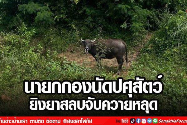 ลงเว็บ 9