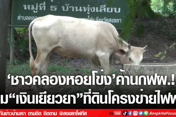 เฟรมข่าวไอเน็ท เว็บ เปลี่ยน 26