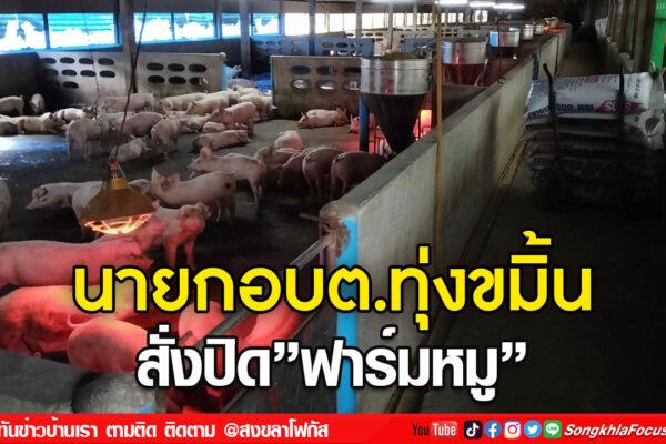 ลงเว็บ 1