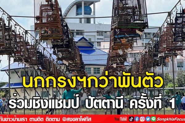 ลงเว็บ 4