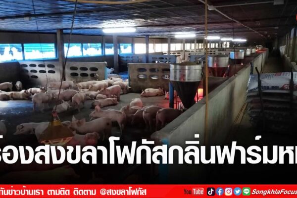 เฟรมข่าวไอเน็ท เว็บ เปลี่ยน 26