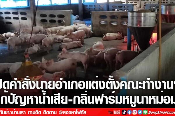 เฟรมข่าวไอเน็ท เว็บ เปลี่ยน 29