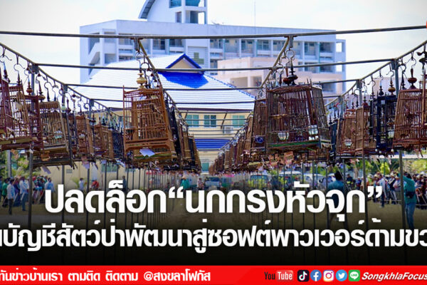 เฟรมข่าวไอเน็ท เว็บ เปลี่ยน 98