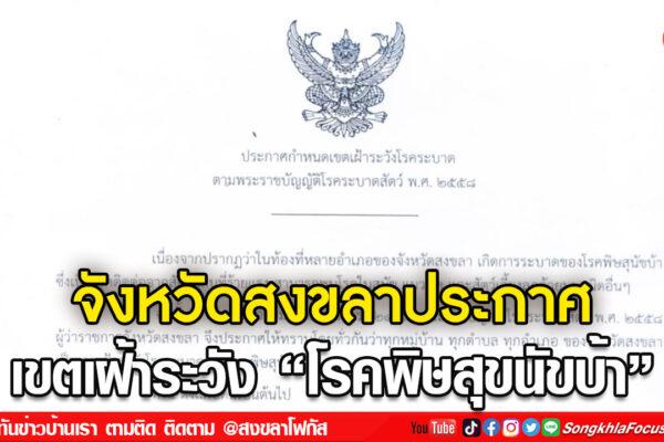 ลงเว็บ 15