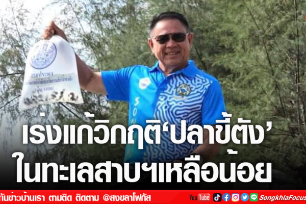 เฟรมข่าวไอเน็ท เว็บ เปลี่ยน 19