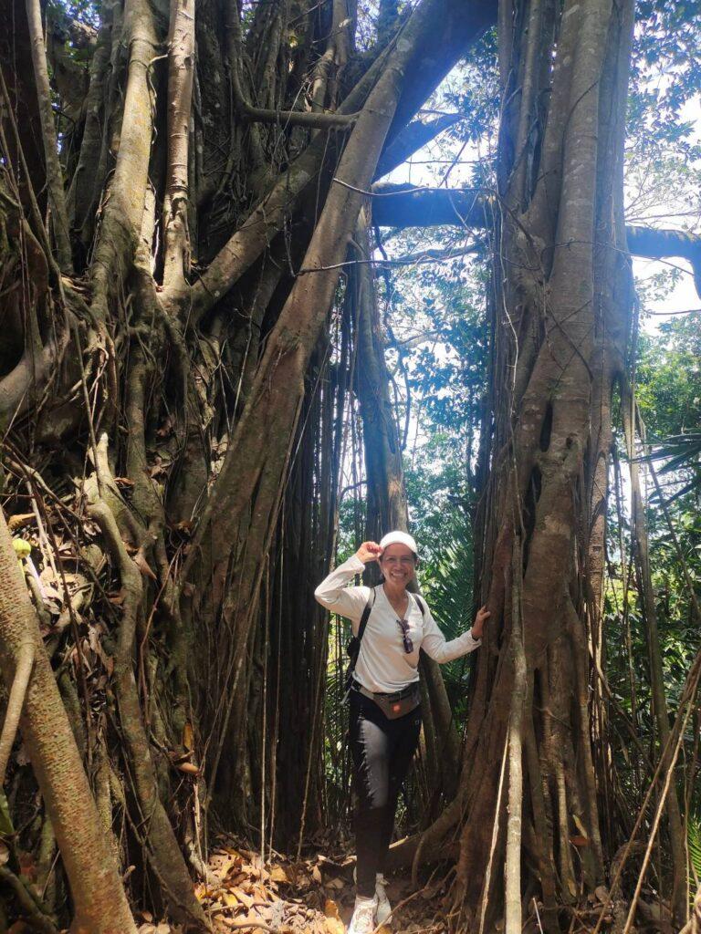 ”ที่สุดแห่งเขาเทียมดา”กับครั้งแรกในการเดินป่าเมืองสงขลา 25 1563806 0