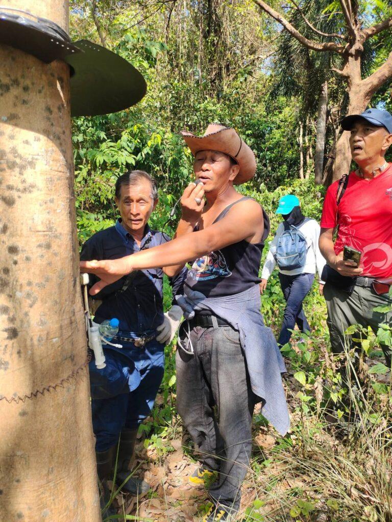 ”ที่สุดแห่งเขาเทียมดา”กับครั้งแรกในการเดินป่าเมืองสงขลา 21 1563811 0