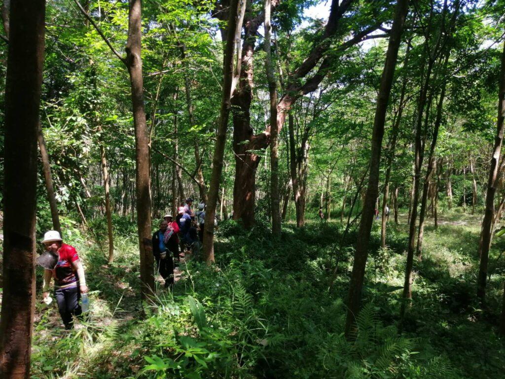 ”ที่สุดแห่งเขาเทียมดา”กับครั้งแรกในการเดินป่าเมืองสงขลา 15 1563916
