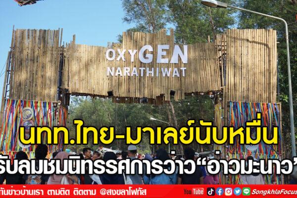 ลงเว็บ 14