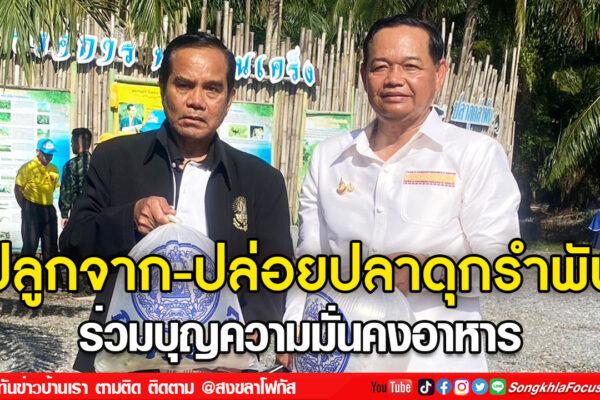 ลงเว็บ 15