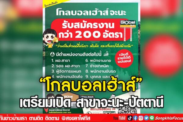 ลงเว็บ 7
