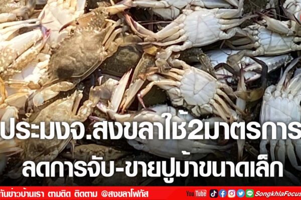 เฟรมข่าวไอเน็ท เว็บ เปลี่ยน 58