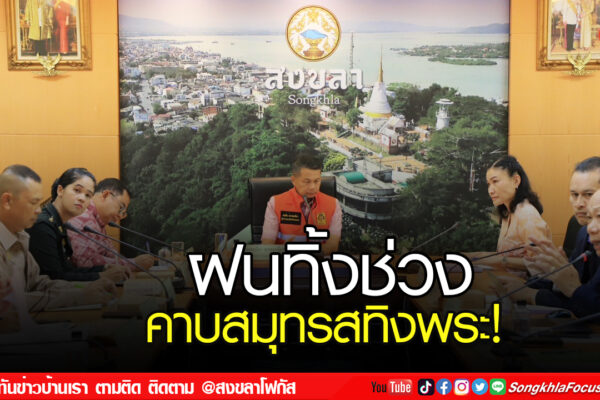 ฝนเว็บ เปลี่ยน