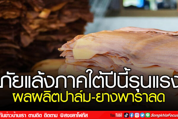 ยางเว็บ เปลี่ยน