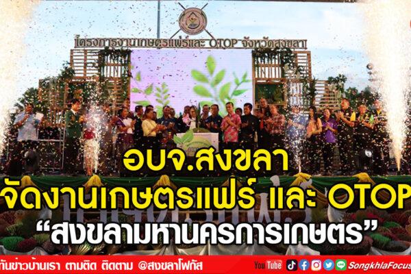 ลงเว็บ 15