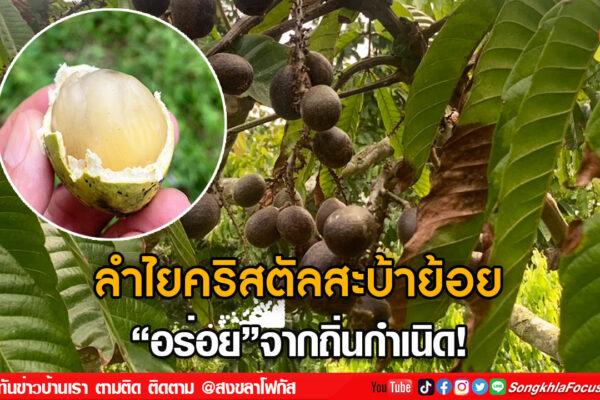 ลงเว็บ 1