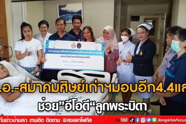 ลงเว็บ 13