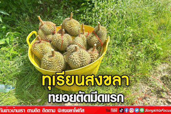 ลงเว็บ 19