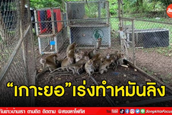 เฟรมข่าวไอเน็ท เว็บ เปลี่ยน 25