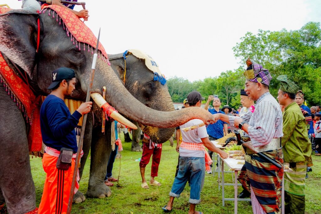 แห่ช้าง 11 เชือก สืบสานวัฒนธรรมท้องถิ่น ประจำปี 2567 8 S 49725581 0