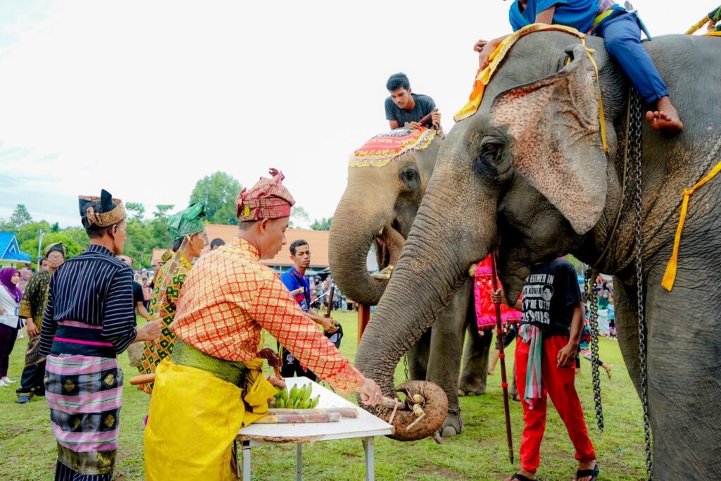 แห่ช้าง 11 เชือก สืบสานวัฒนธรรมท้องถิ่น ประจำปี 2567 9 S 49725582 0