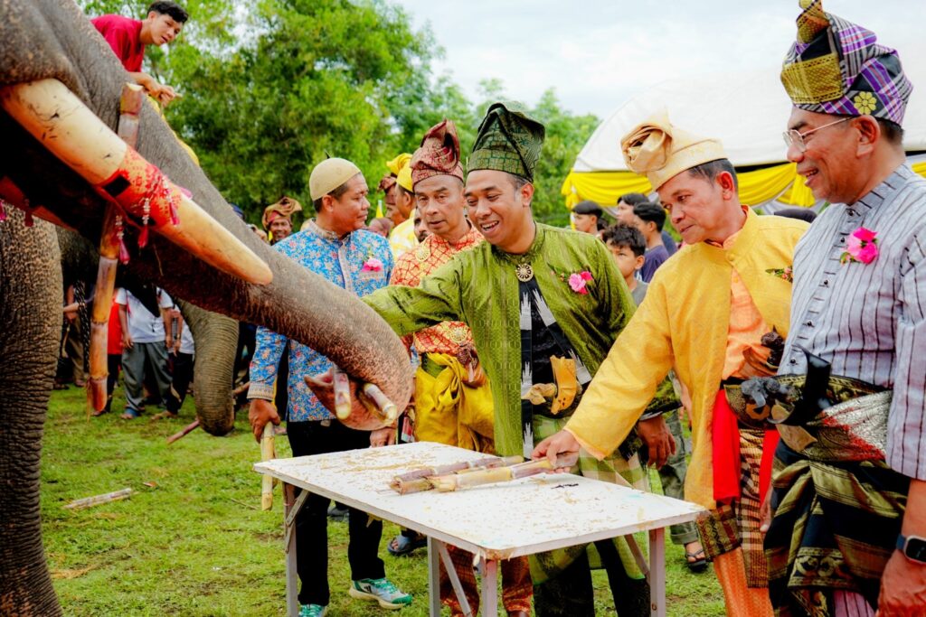 แห่ช้าง 11 เชือก สืบสานวัฒนธรรมท้องถิ่น ประจำปี 2567 11 S 49725584 0