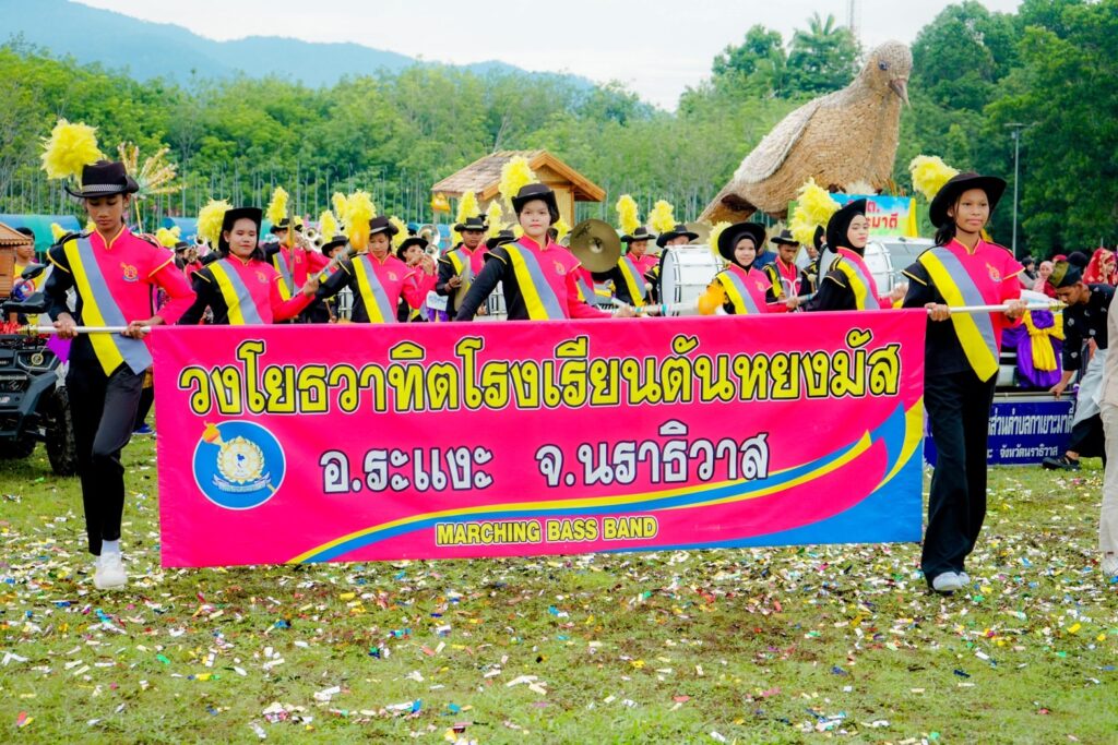 แห่ช้าง 11 เชือก สืบสานวัฒนธรรมท้องถิ่น ประจำปี 2567 14 S 49725589 0