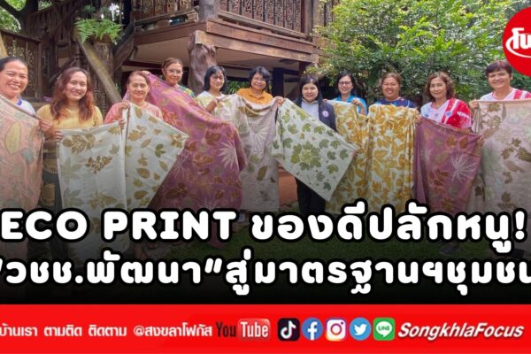 เพิ่มหัวเรื่อง 46