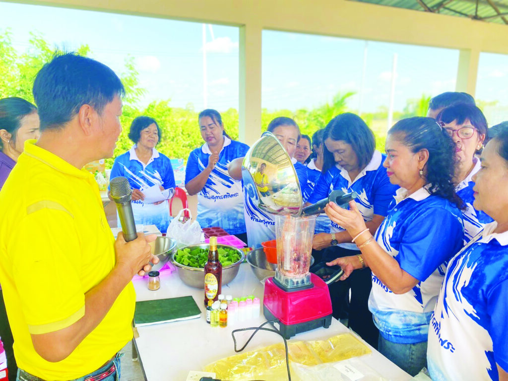 525564581 1154763153362329 3873827447715595148 n