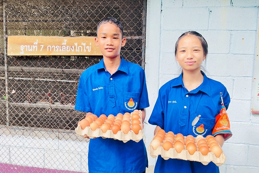 ‘ไข่ไก่’ความมั่นคงทางอาหาร!ซีพีเอฟ…“ส่งต่อ”จากโรงเรียนสู่ชุมชน 5 5