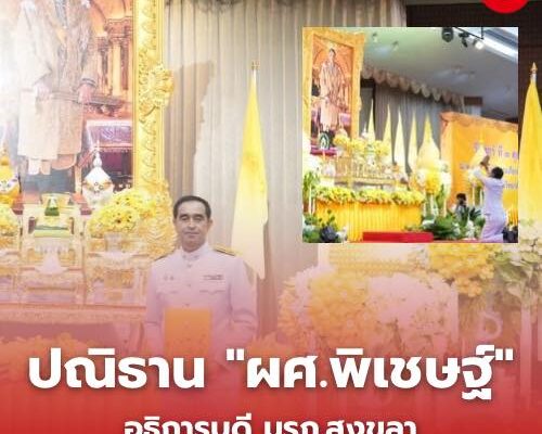 556538575 1391637552967465 3028087477804888769 n