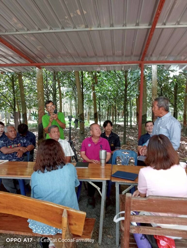 ชาวทุ่งตำเสาสืบสาน‘โทะ’พืชพื้นถิ่น“กก.ละ20ล.”ที่จะสูญหาย 2 564699970 815008070885014 7839987943514549795 n