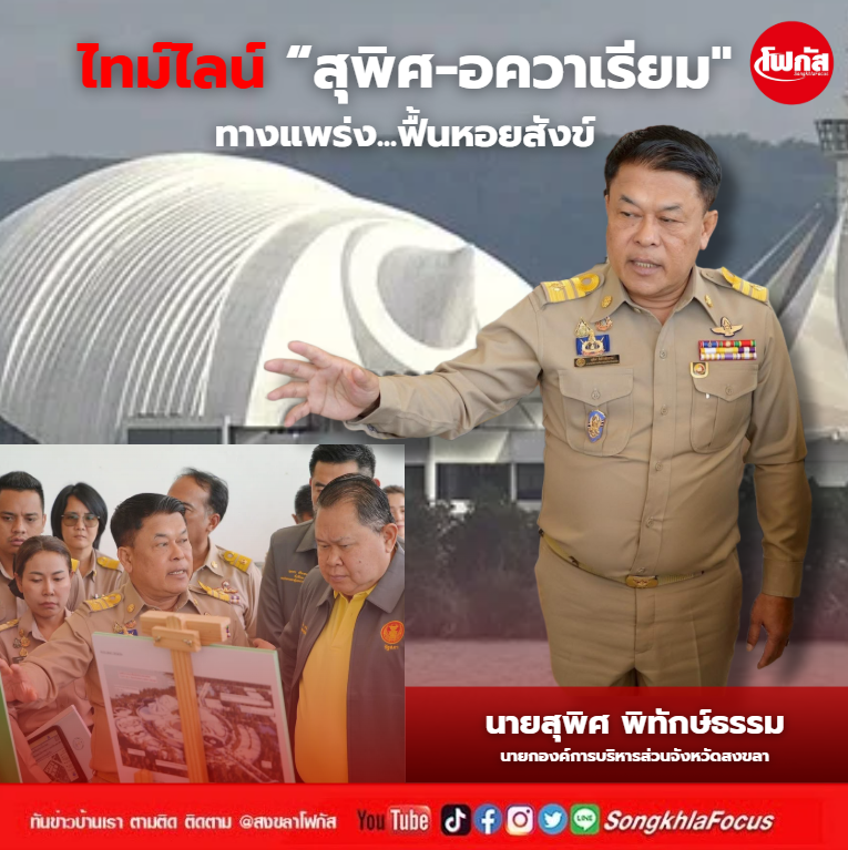 พิศสุ