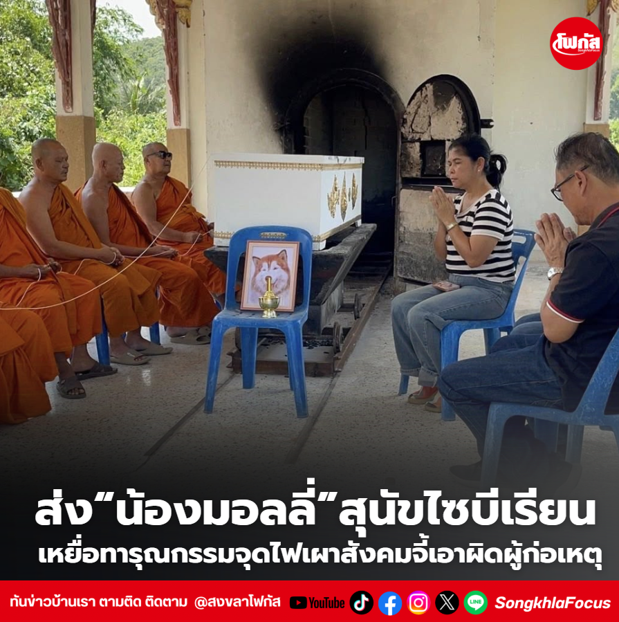 สกรีนช็อต 2026 02 20 162313