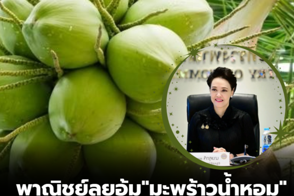 สกรีนช็อต 2026 02 26 141912