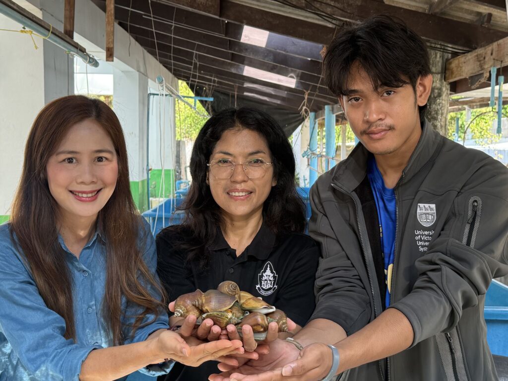 มทร.ศรีวิชัย ผนึก วช. ขยาย “ธนาคารปูม้าสตูล”ยกระดับศูนย์เรียนรู้สู่สากล 5 303349