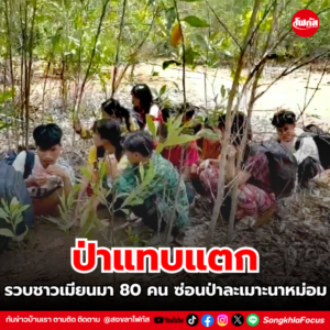 สร้างความมั่นคง 3 1