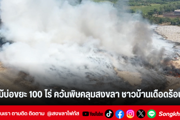 แทมเพลตข่าว 1