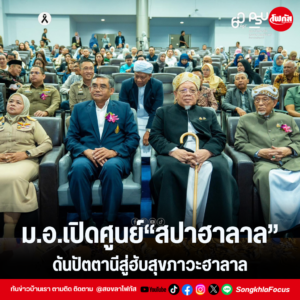 แทมเพลตข่าว 2 2