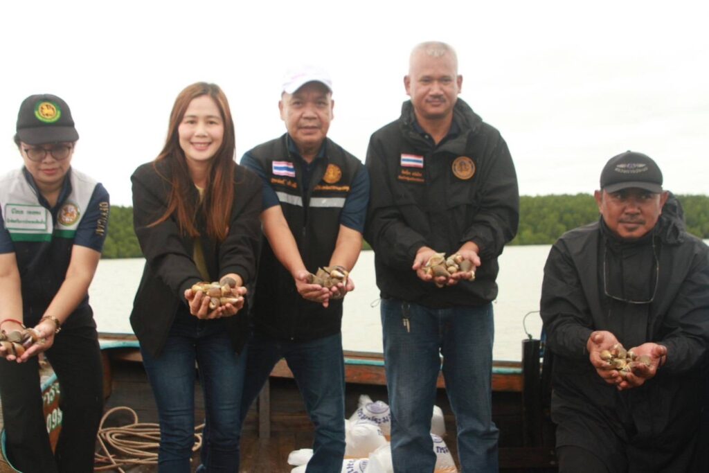 สตูลคืนชีวิตทะเลปล่อย “หอยชักตีน-กุ้งแชบ๊วย” กว่า 1.5 แสนตัว 3 IMG 2762