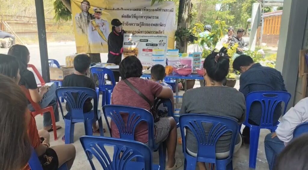 สยบปัญหาคน-สุนัข คลองแหชูมาตรการ “สุนัขชุมชน” หลังเหตุสุนัขถูกวางยาเบื่อ 3 S 31596562 0